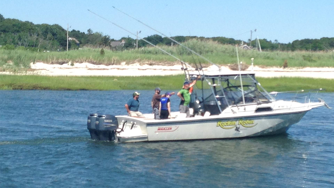 Cape Cod Bay Fishing Charters, from Rock Harbor